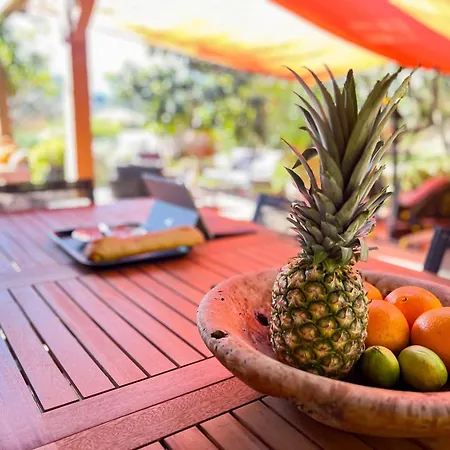 Jardin Des Abeilles - Pool Terrace - By Tgb Villa Ocana