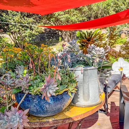 Jardin Des Abeilles - Pool Terrace - By Tgb Villa
