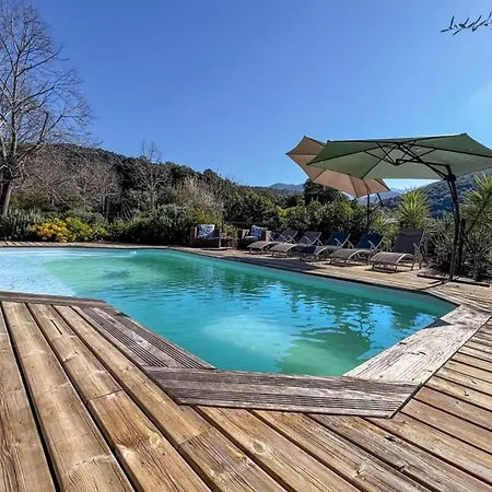 Villa Jardin Des Abeilles - Pool Terrace - By Tgb