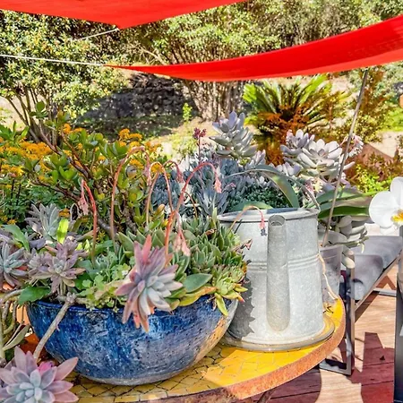 Jardin Des Abeilles - Pool Terrace - By Tgb Villa *
