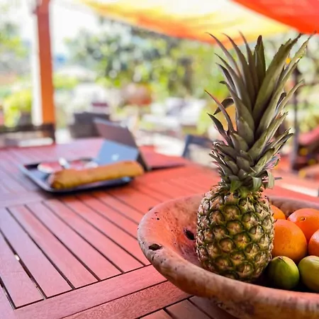 Villa Jardin Des Abeilles - Pool Terrace - By Tgb Ocana