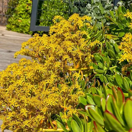 Jardin Des Abeilles - Pool Terrace - By Tgb *